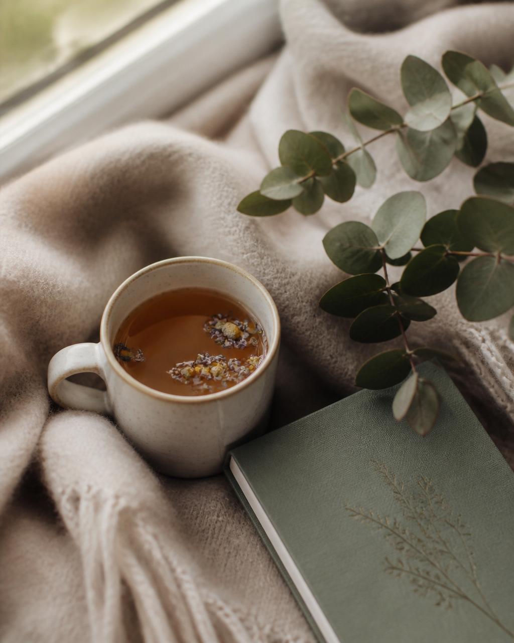 How to recover from burnout — gently.